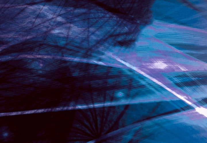 Glezna - Violets dārzs - Pienenes ar violetu nokrāsu, 144574 G-ART