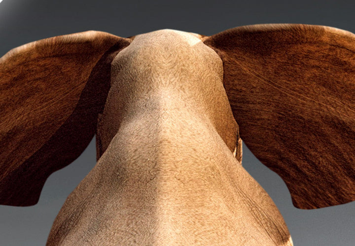 Glezna - Zilonis uz šūpuļtīkla, (x 5), 128836 G-ART