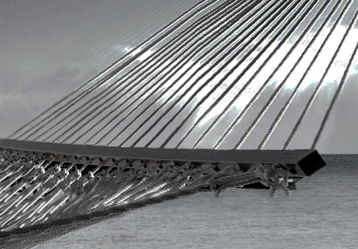 Glezna - Zilonis uz šūpuļtīkla, (x 5), 128836 G-ART