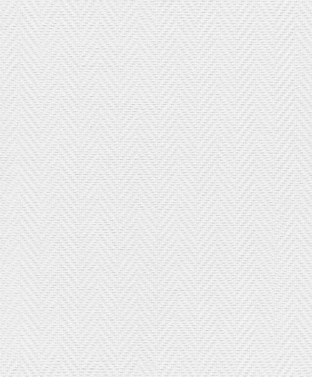 Krāsojamas stikla šķiedras tapetes 160 gr/m2 - 1217671 (1 X 25M) Tapetenshop.lv