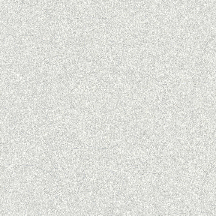 Krāsojamas tapetes ar faktūru AS Creation571212 (0.53x10m) AS Creation