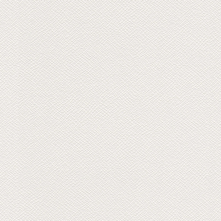 Krāsojamas tapetes AS Creation 182418 (0.53x10m) PROTECT+ AS Creation