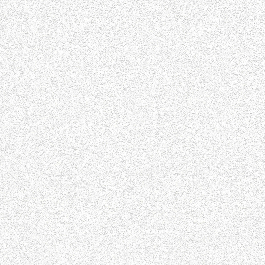 Krāsojamas tapetes ar smalku rakstu AS Creation 245816 (0.53x10m) AS Creation