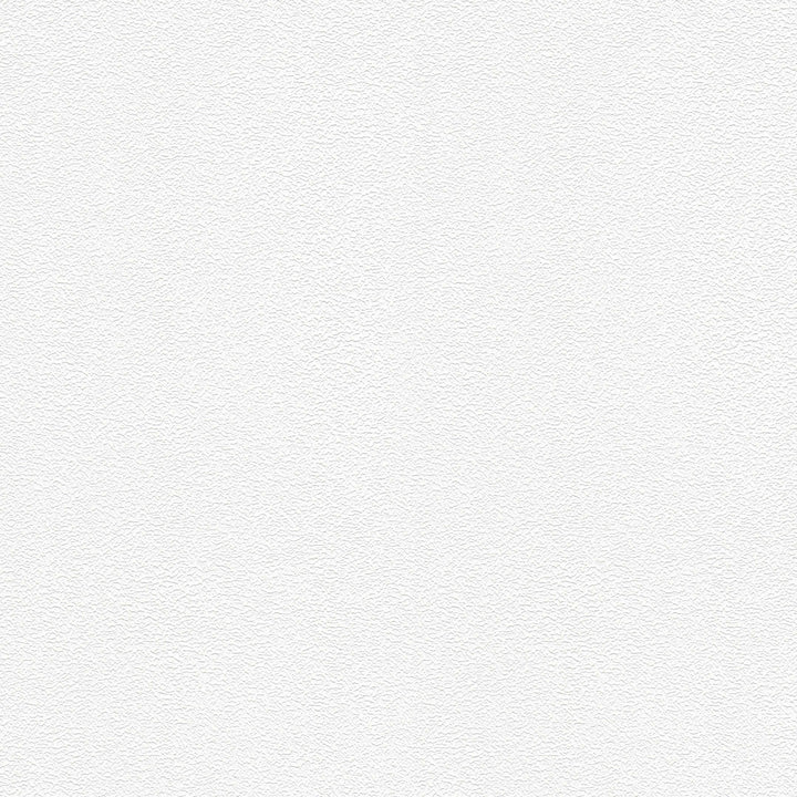 Krāsojamas tapetes ar smalku rakstu AS Creation 245816 (0.53x10m) AS Creation