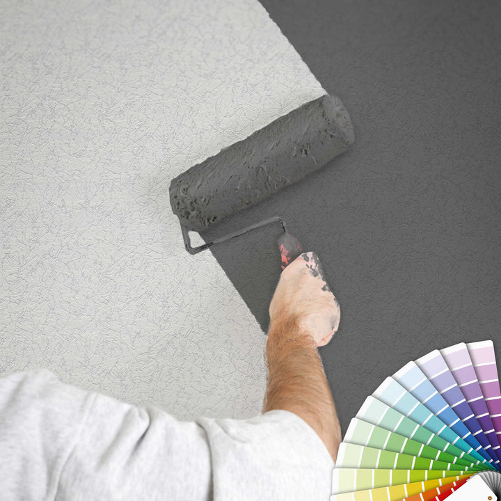 Krāsojamas tapetes ar dekoratīva apmetuma struktūru  AS 263117 AS Creation