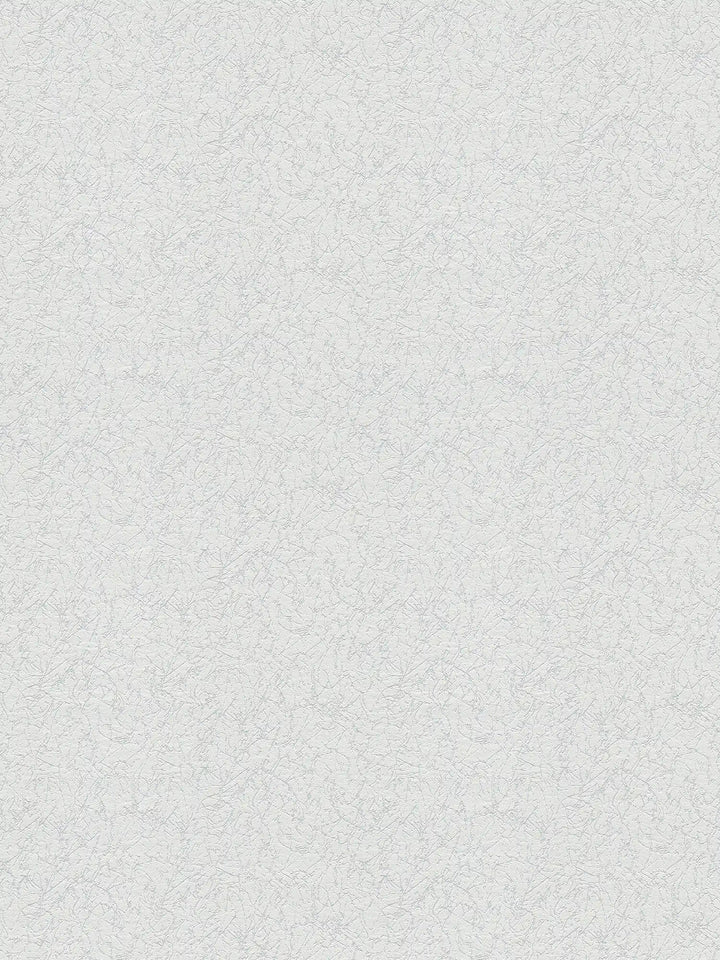 Krāsojamas tapetes ar dekoratīva apmetuma struktūru  AS 263117 AS Creation