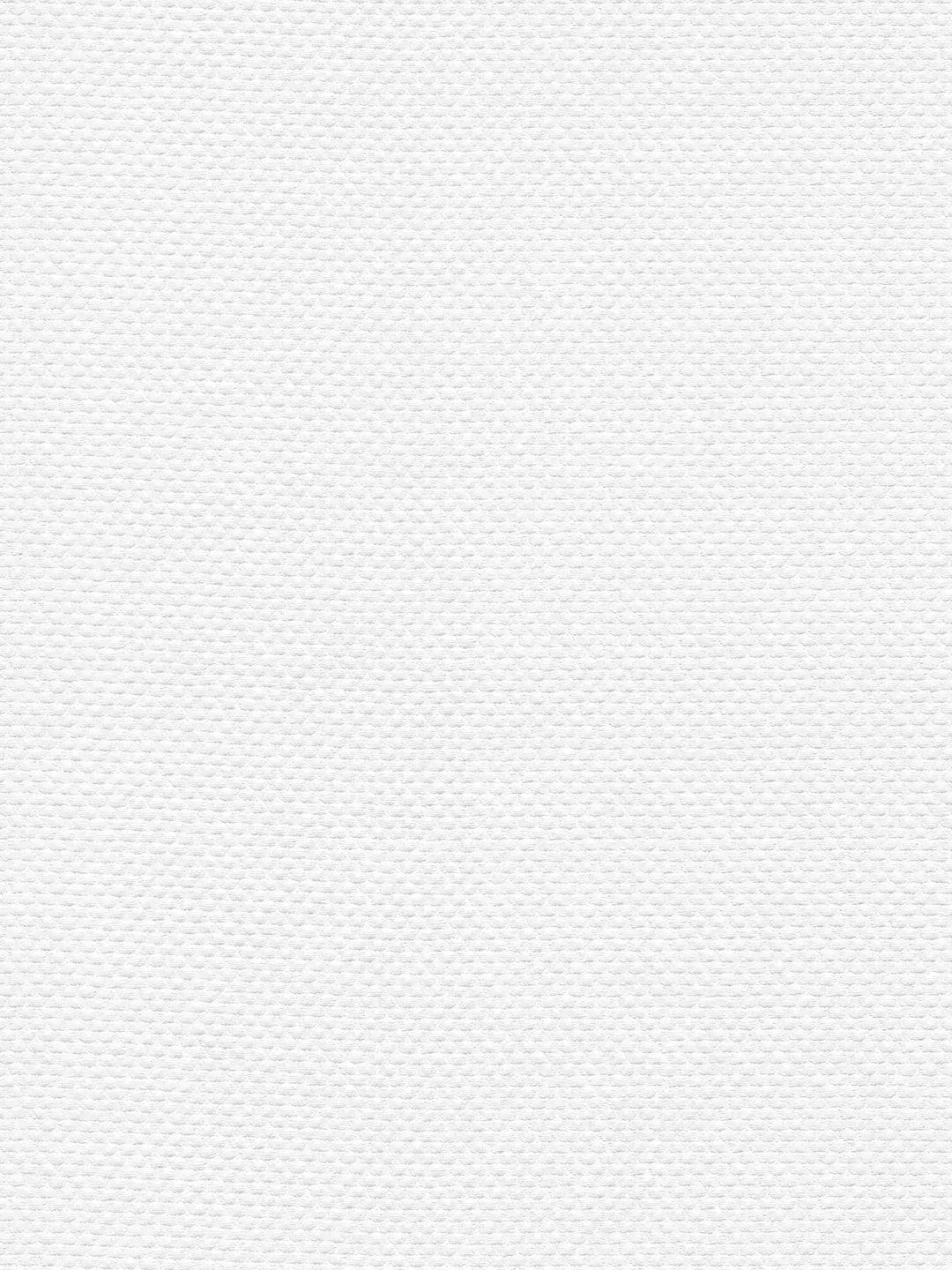 Krāsojamās tapetes ar tekstila izskatu, baltas  AS 141217 AS Creation