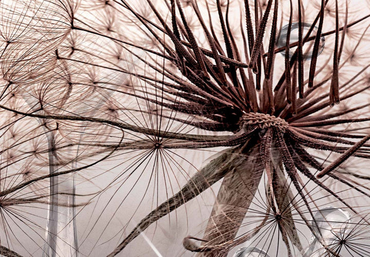 Lielformāta glezna ar pienenēm - Maigums, 151806 G-ART