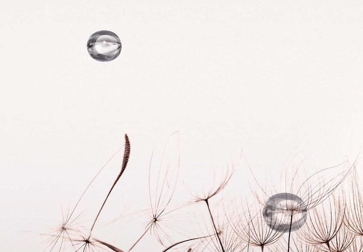 Lielformāta glezna ar pienenēm - Maigums, 151806 G-ART