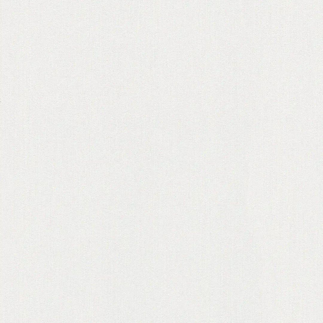 Neitrālas tapetes ar tekstūru un reljefu - baltā krāsā - 937902 AS Creation