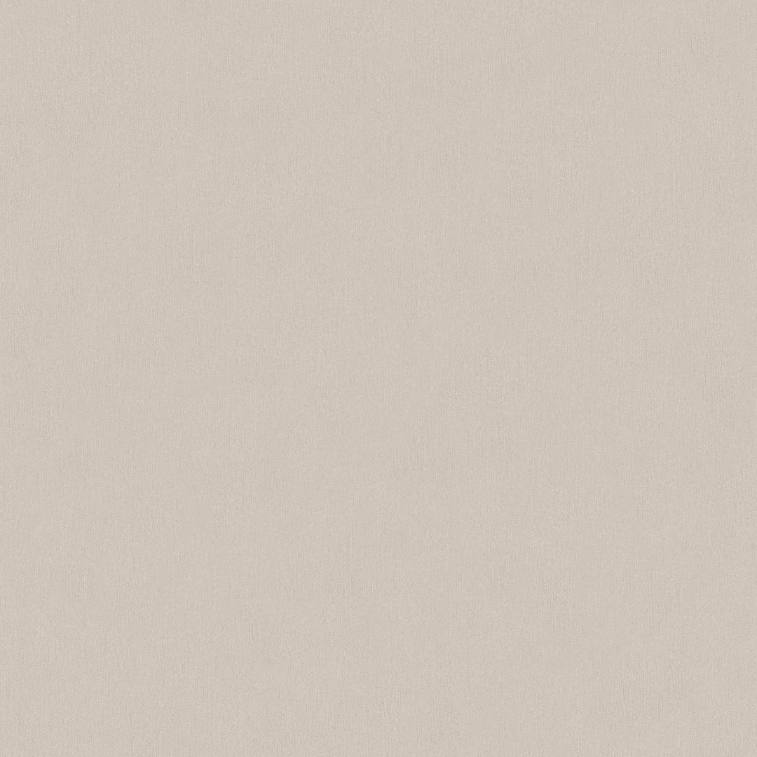 Pelēki brūnas vienkrāsainas tapetes ar gludu virsmu AS 336552 AS Creation