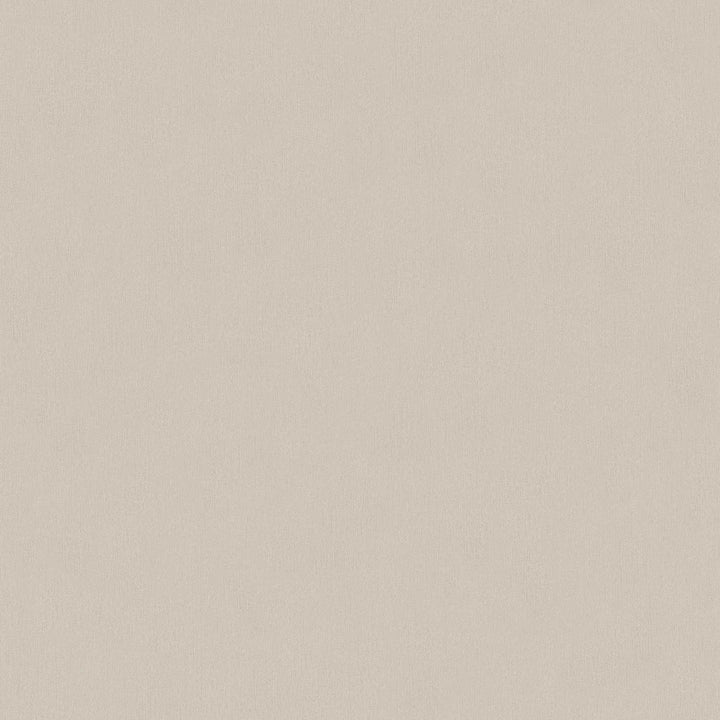 Pelēki brūnas vienkrāsainas tapetes ar gludu virsmu AS 336552 AS Creation