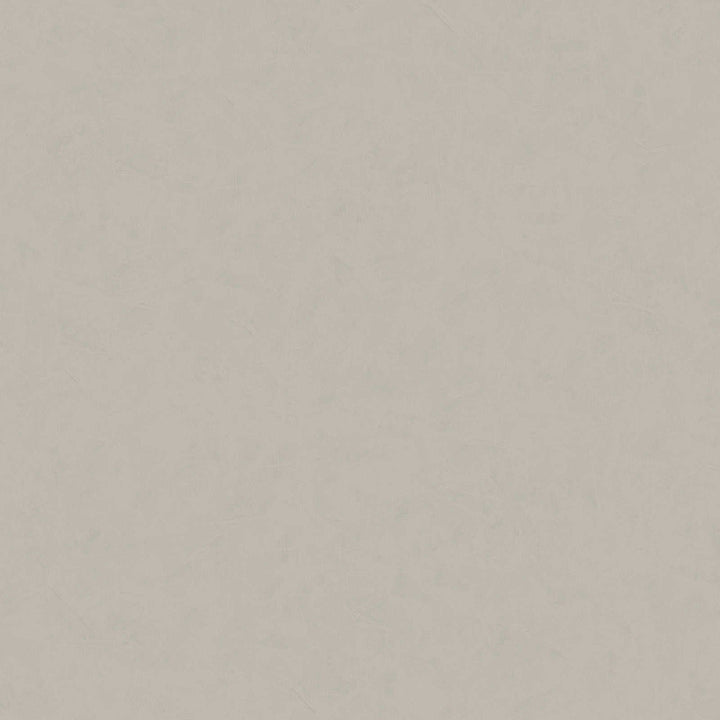 Flizelīna tapetes ar ģipša struktūru gaiši pelēkā krāsā AS 376947 AS Creation