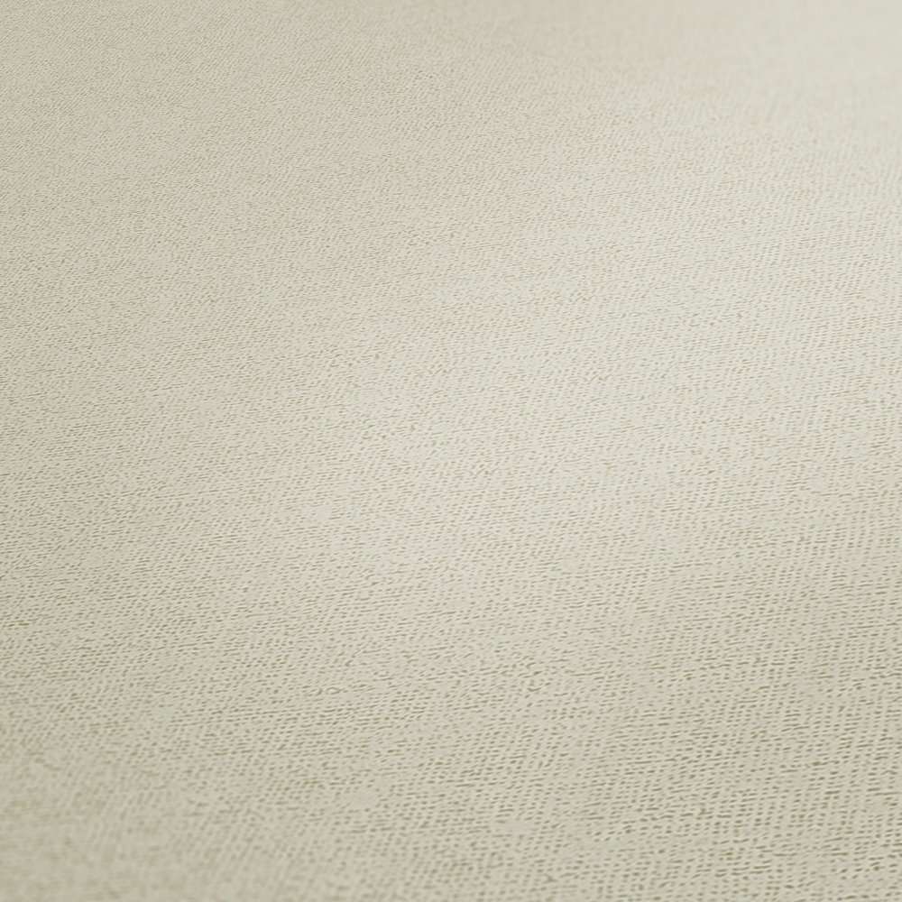 Matētas vienkrāsainas tapetes krēmkrāsā AS 379861 Tapetenshop.lv