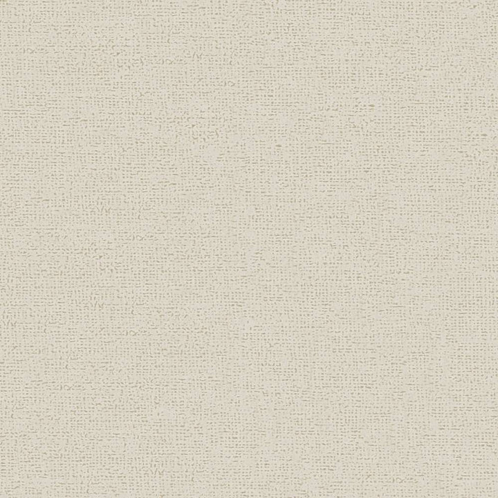 Matētas vienkrāsainas tapetes krēmkrāsā AS 379861 Tapetenshop.lv