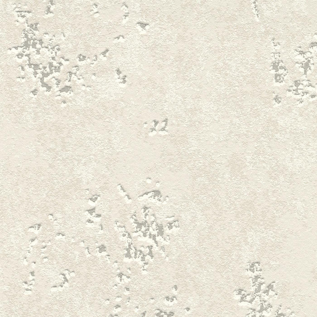 Tapetes ar apmetuma rakstu siltos toņos ar spīdīgiem akcentiem, 315738 RASCH