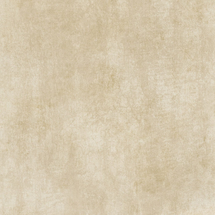 Tapetes ar dekoratīva apmetuma rakstu bēšā krāsā - 1043802 Tapetenshop.lv