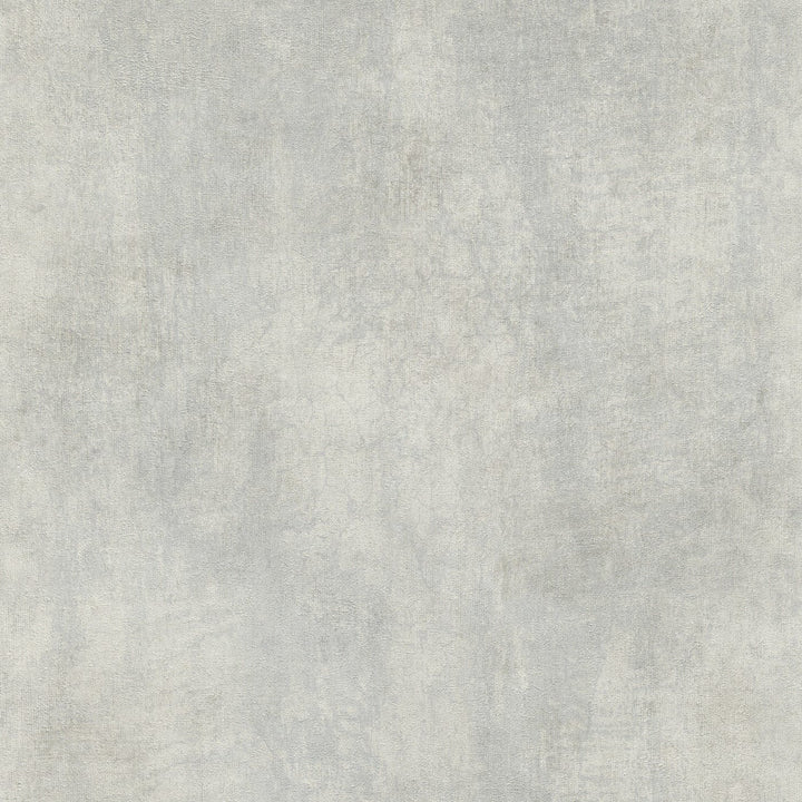 Tapetes ar dekoratīva apmetuma rakstu gaiši pelēkā krāsā - 1043831 Tapetenshop.lv