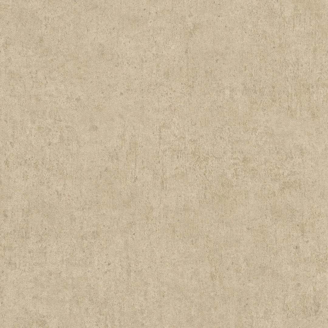 Bēšas matētas tapetes ar dekoratīvu faktūru – apskatīt istabā Erismann