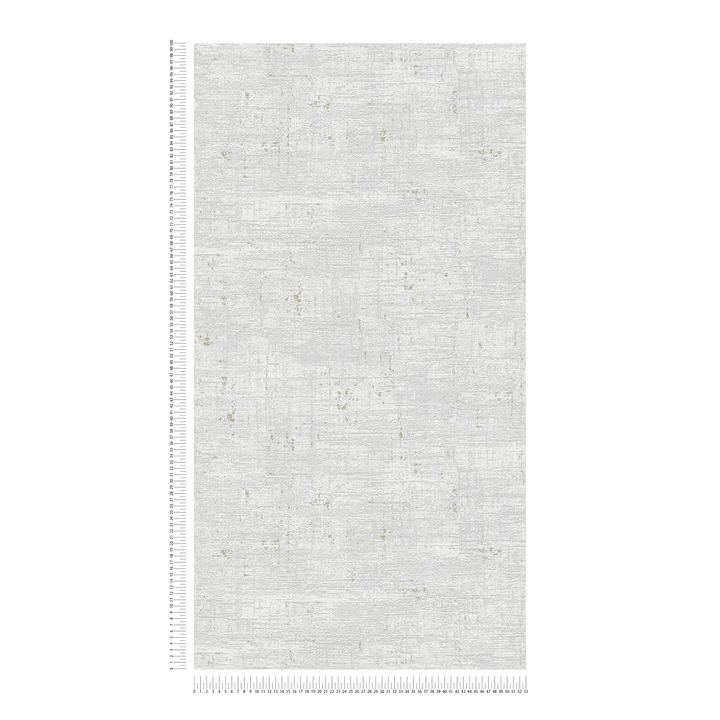 Nopirkt tapetes istabai gaiši pelēkā krasā ar zeltu, 1406435 AS Creation