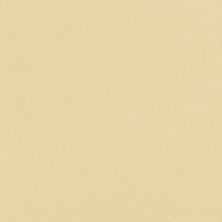 Bēšas matētas tapetes ar auduma tekstūru mājīgam interjeram   Tapetenshop.lv