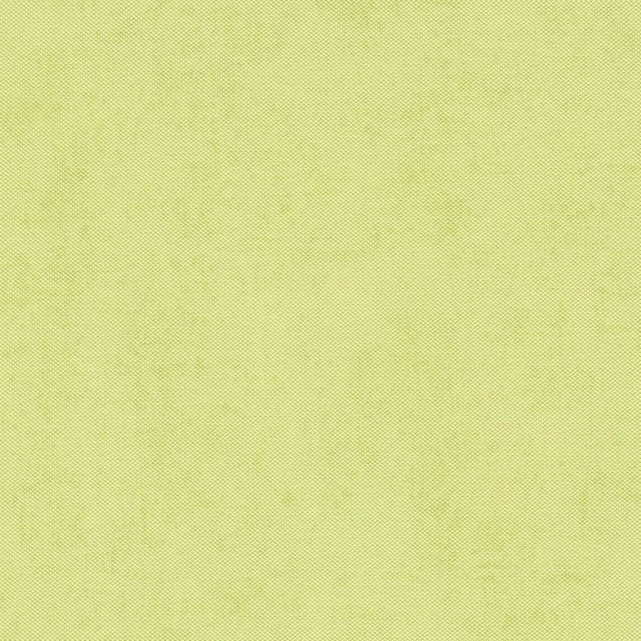 Vienkrāsainas tapetes Erismann zaļā krāsā, 634007 Erismann