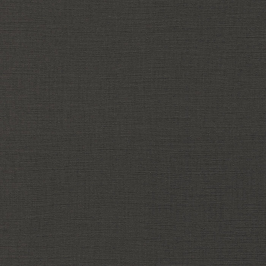 Tapetes RASCH antracīta melnā krāsā, 2015706 - perfekta kvalitāte RASCH