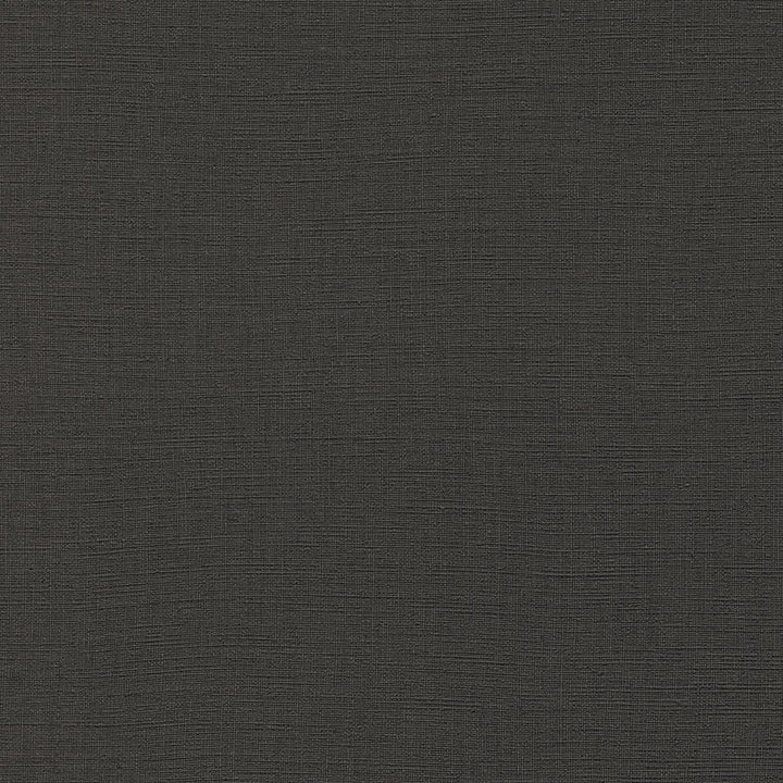 Tapetes RASCH antracīta melnā krāsā, 2015706 - perfekta kvalitāte RASCH