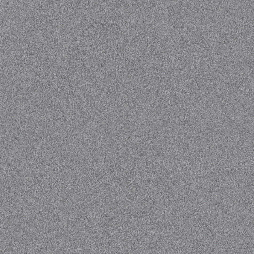 Tapetes RASCH pelēkā krāsā, 3272610 RASCH