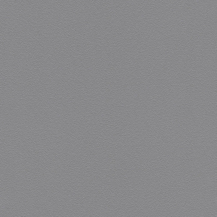 Tapetes RASCH pelēkā krāsā, 3272610 RASCH