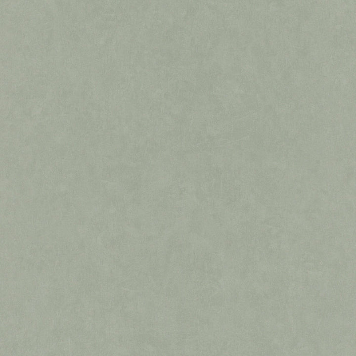 Tapetes RASCH zaļā krāsā, gludas un matētas - 1750662 RASCH