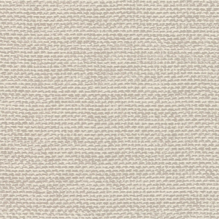 Vienkrāsainas matētas tapetes RASCH,  pelēka-bēša krāsā, 312140 RASCH