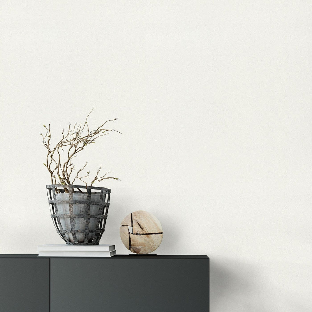 Vienkrāsainas tapetes baltā krāsā, nedaudz spīdīga, 1045401 Erismann