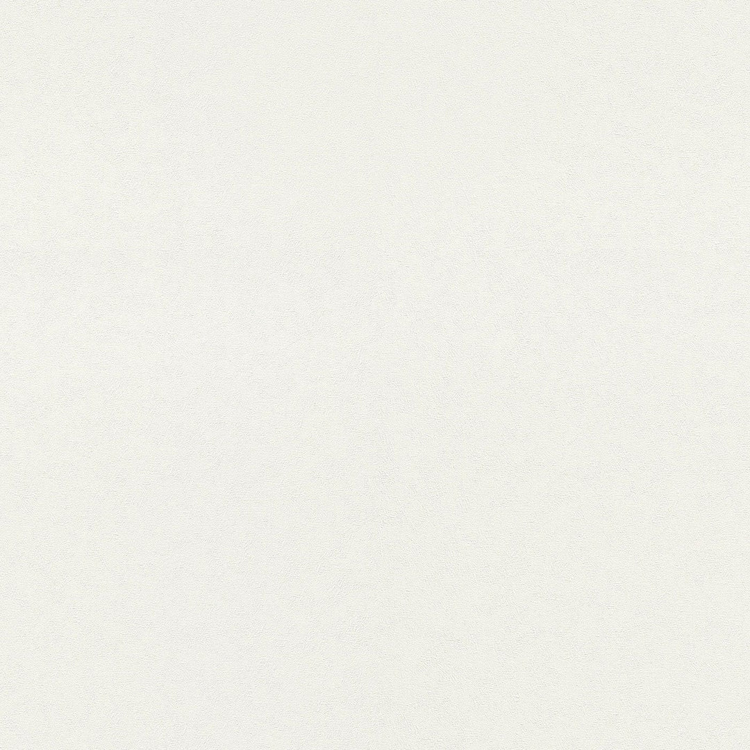 Vienkrāsainas tapetes baltā krāsā, nedaudz spīdīga, 1045401 Erismann