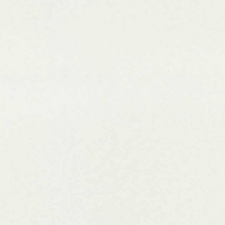 Vienkrāsainas tapetes baltā krāsā, nedaudz spīdīga, 1045401 Erismann