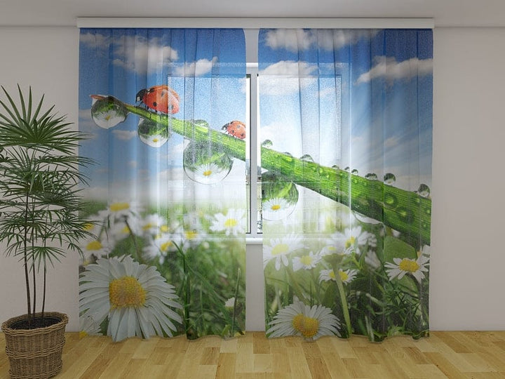 Aizkari ar ziediem - Mārītes un margrietiņa  Tapetenshop.lv