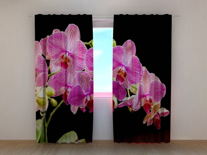 Dienas un nakts aizkari ar ziediem - Rozā prieks Tapetenshop.lv