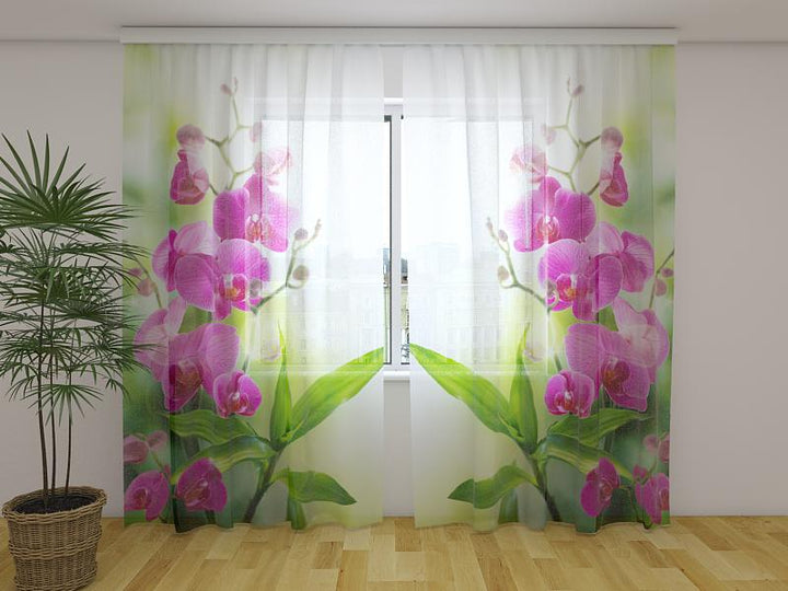 Dienas un nakts aizkari ar ziediem - Vasaras krāsas Tapetenshop.lv