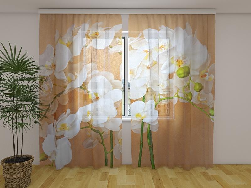 Dienas un nakts aizkari ar ziedu motīviem - Āzijas orhideja Tapetenshop.lv
