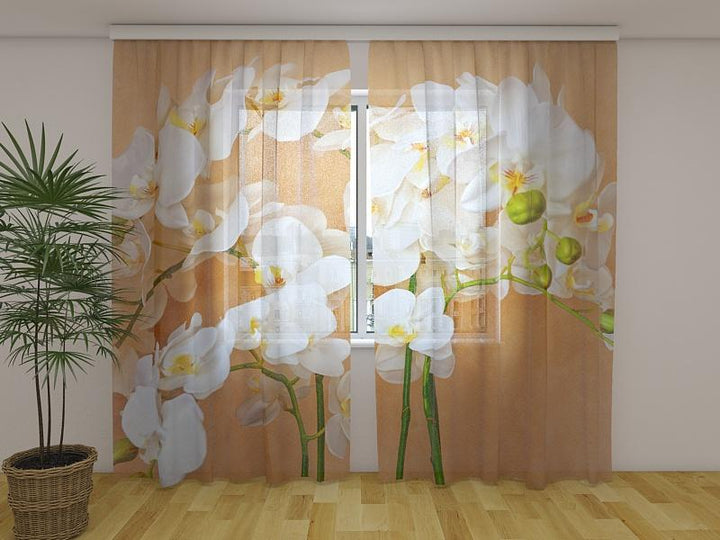 Dienas un nakts aizkari ar ziedu motīviem - Āzijas orhideja Tapetenshop.lv