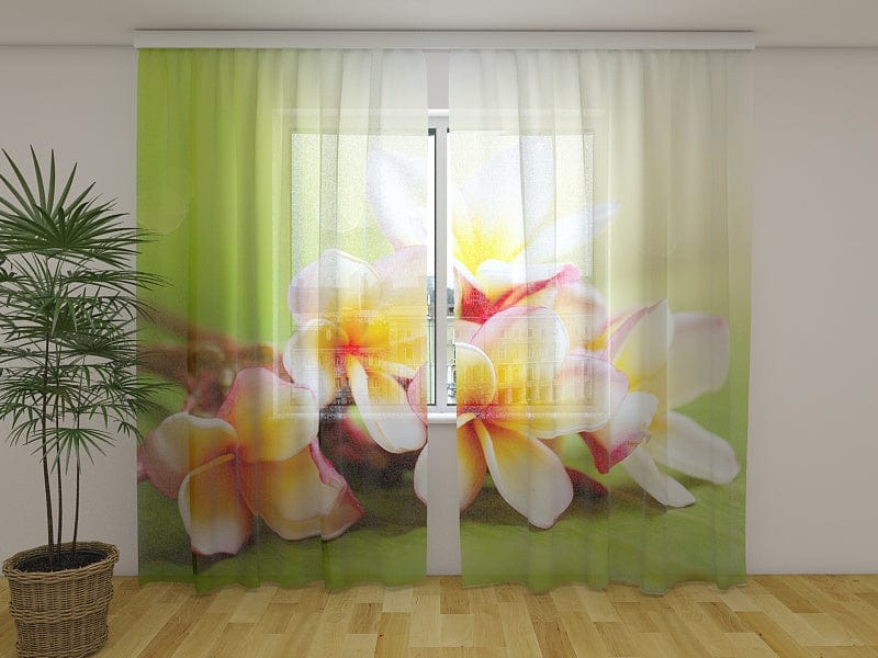 Pavasara dienas un nakts aizkari - Pavasara ziedi 2 - pasūtīt online Tapetenshop.lv