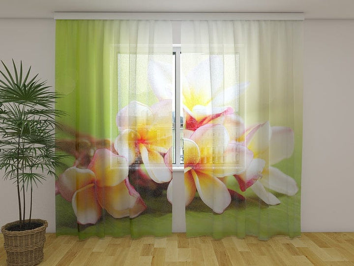 Pavasara dienas un nakts aizkari - Pavasara ziedi 2 - pasūtīt online Tapetenshop.lv