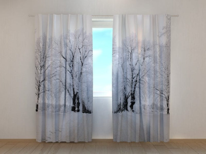 Aizkari ar ziemas ainavu - Ziemas ceļš Tapetenshop.lv