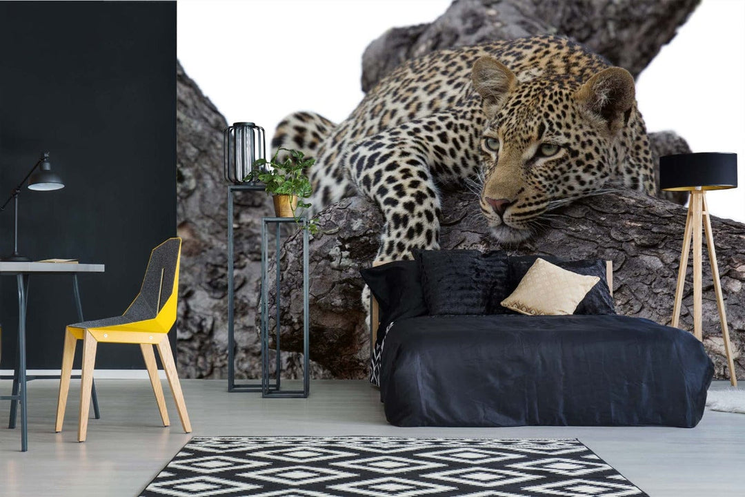Fototapetes ar dzīvniekiem - Leopards kokā, 375x250 cm D-ART