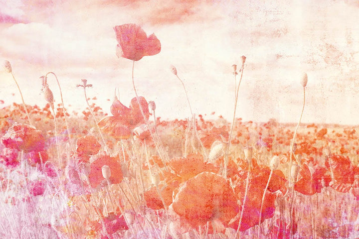 Fototapetes ar magonēm vintāžas stilā, D368 D-ART