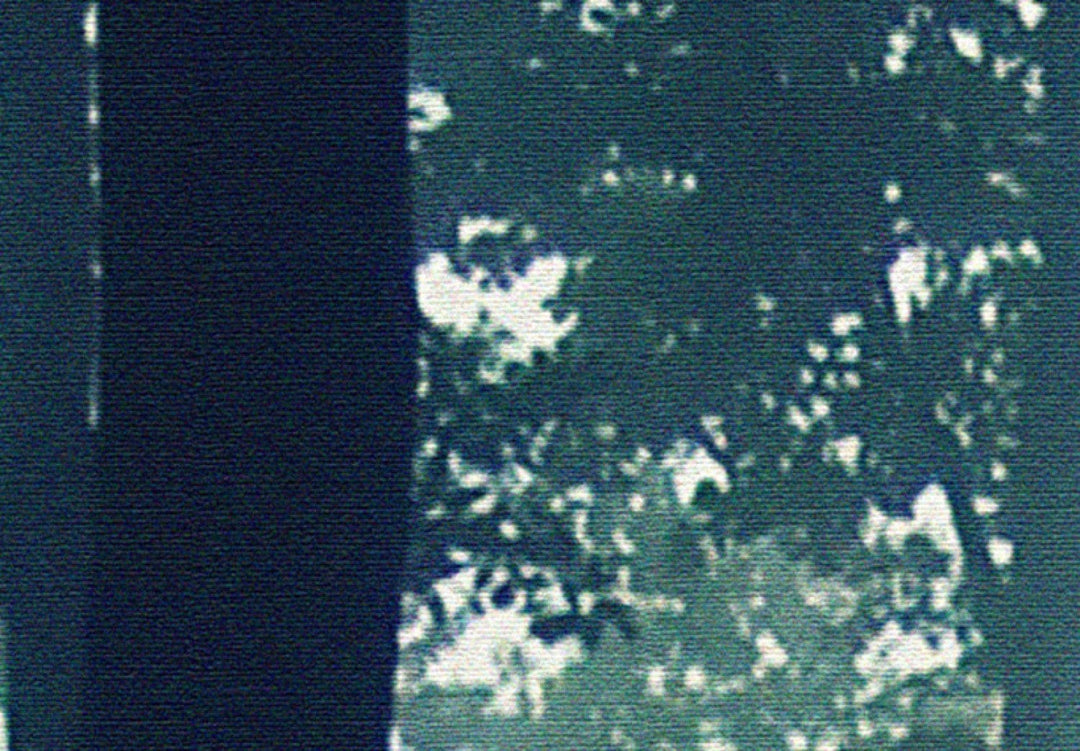 Fototapetes ar skaistu miglainu mežu tumši zaļos toņos, 94799 G-ART