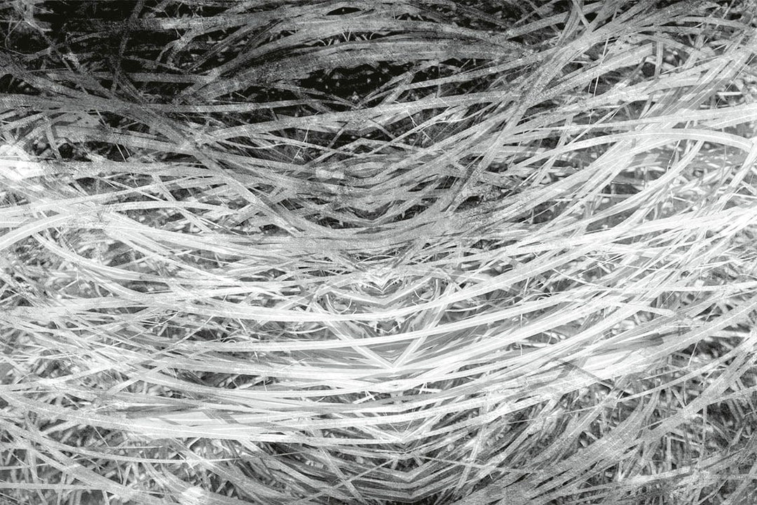 Melnbaltas fototapetes ar zāli vintāžas stilā  - D382 D-ART