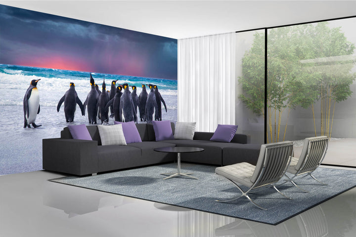 Fototapetes ar pingvīniem- Karaļa pingvīni Folklenda salās, 375x250 cm D-ART