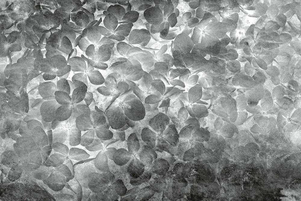 Melnbaltas fototapetes ar ziedošiem ziediem 375x250 cm D-ART