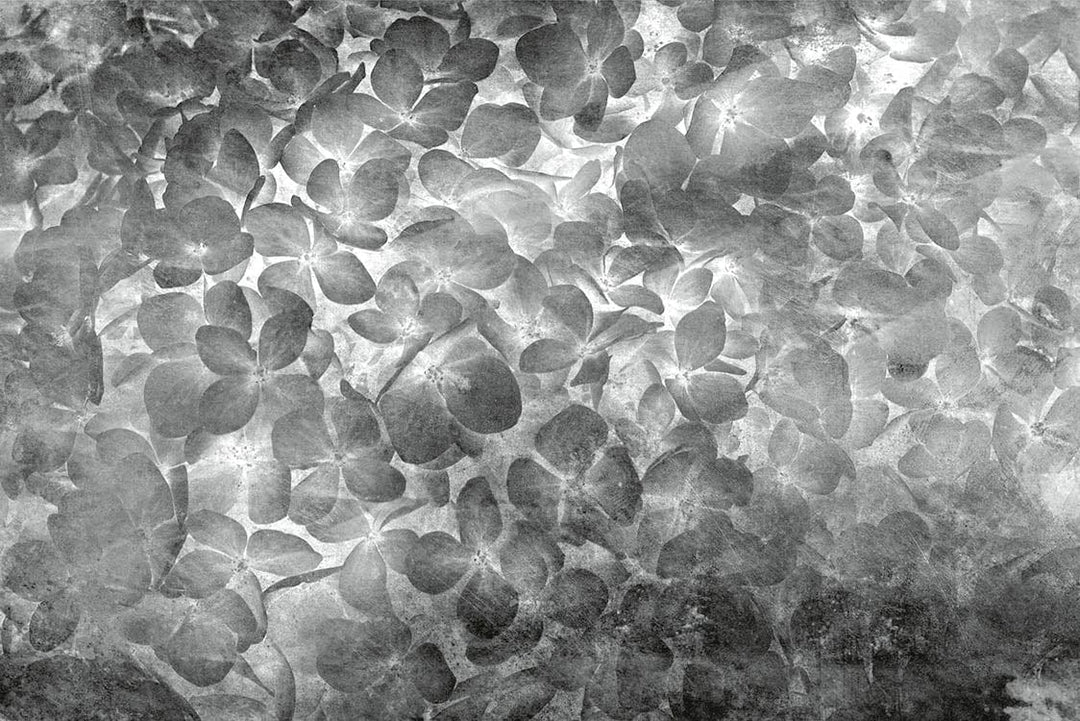 Melnbaltas fototapetes ar ziedošiem ziediem 375x250 cm D-ART